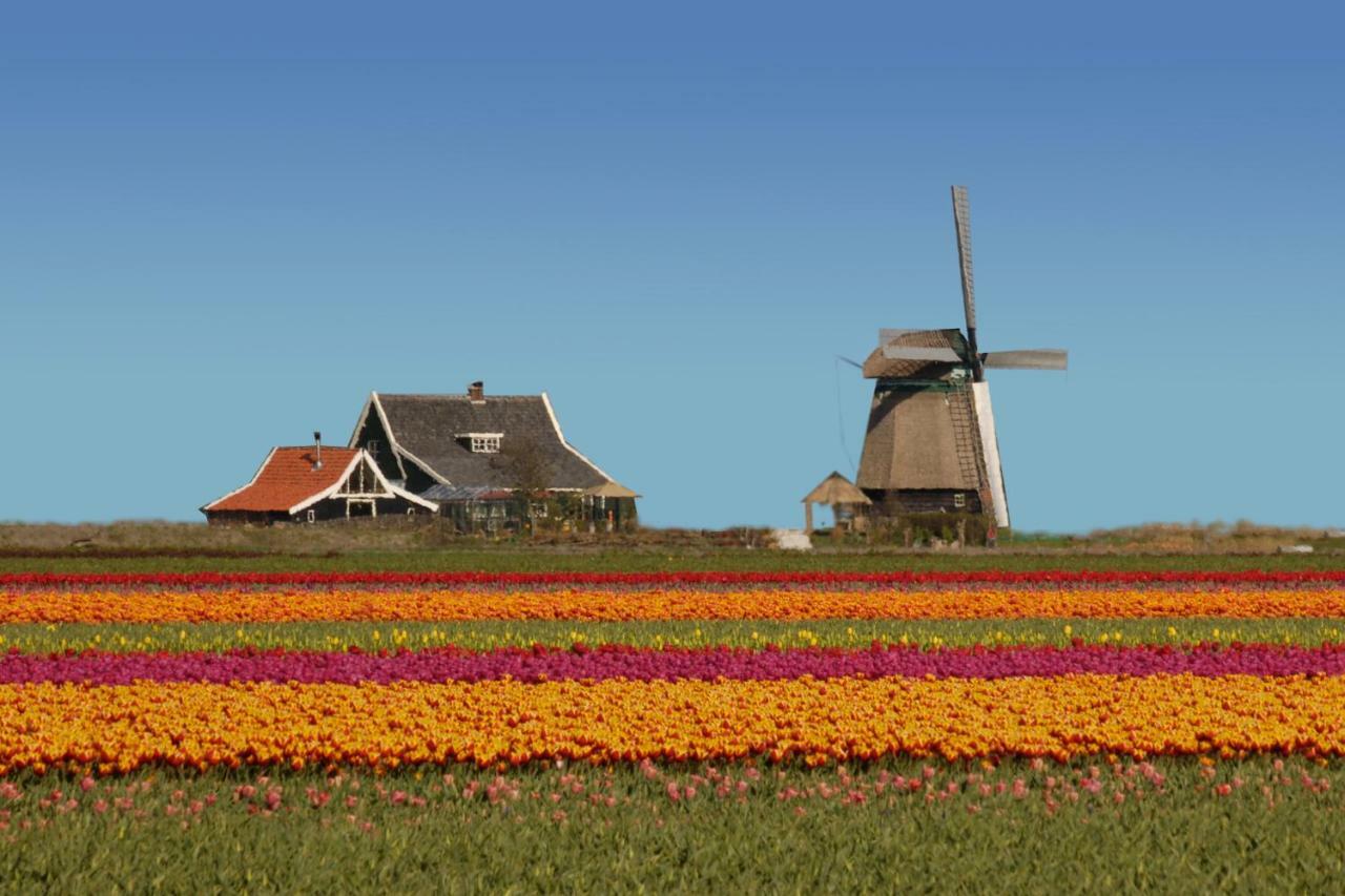 Het Dobbertje, Charmant Houten Huisje Sint Maartensvlotbrug Dış mekan fotoğraf