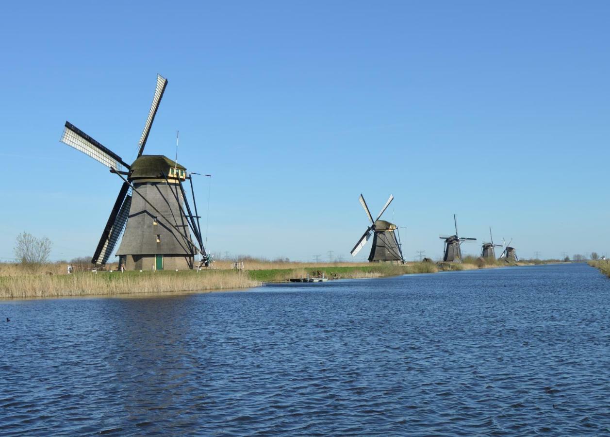 Het Dobbertje, Charmant Houten Huisje Sint Maartensvlotbrug Dış mekan fotoğraf